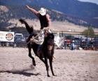Rodeo - Rider eyer bronc rekabete, vahşi bir binicilik